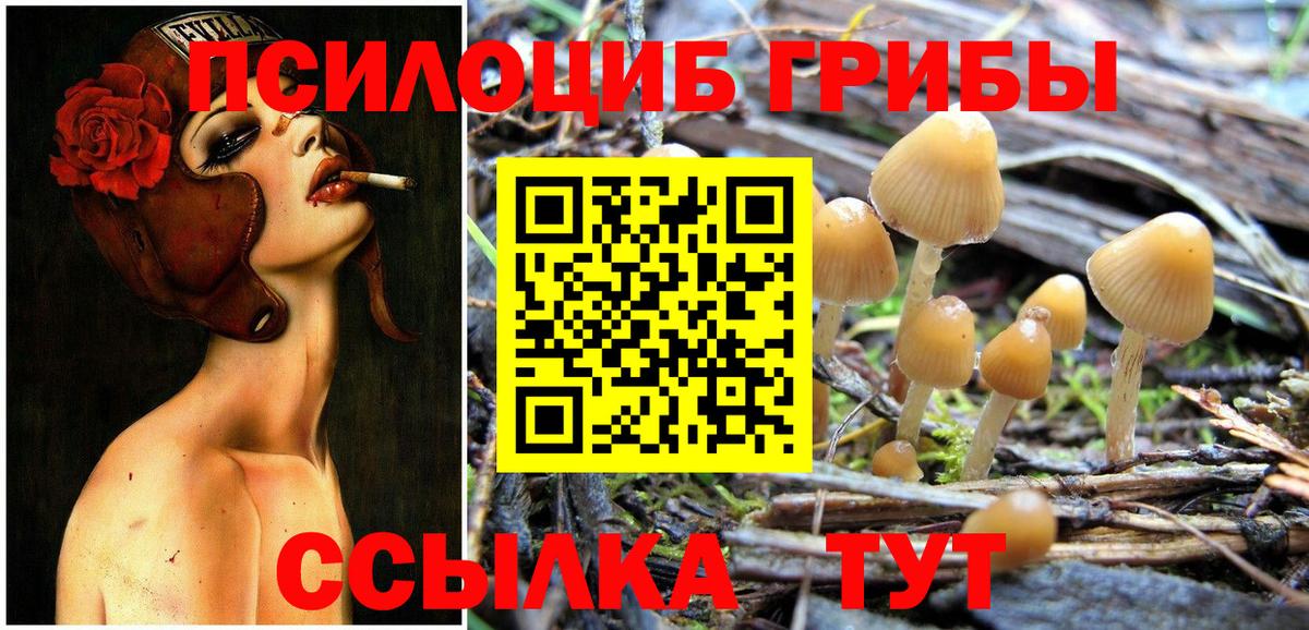 Белая Калитва  Галлюциногенные грибы Psilocybe  Вход с VPN 